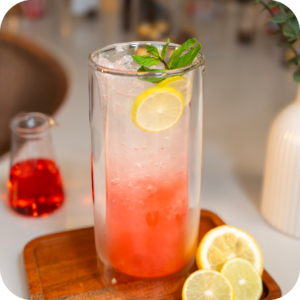 Watermelon Mojito